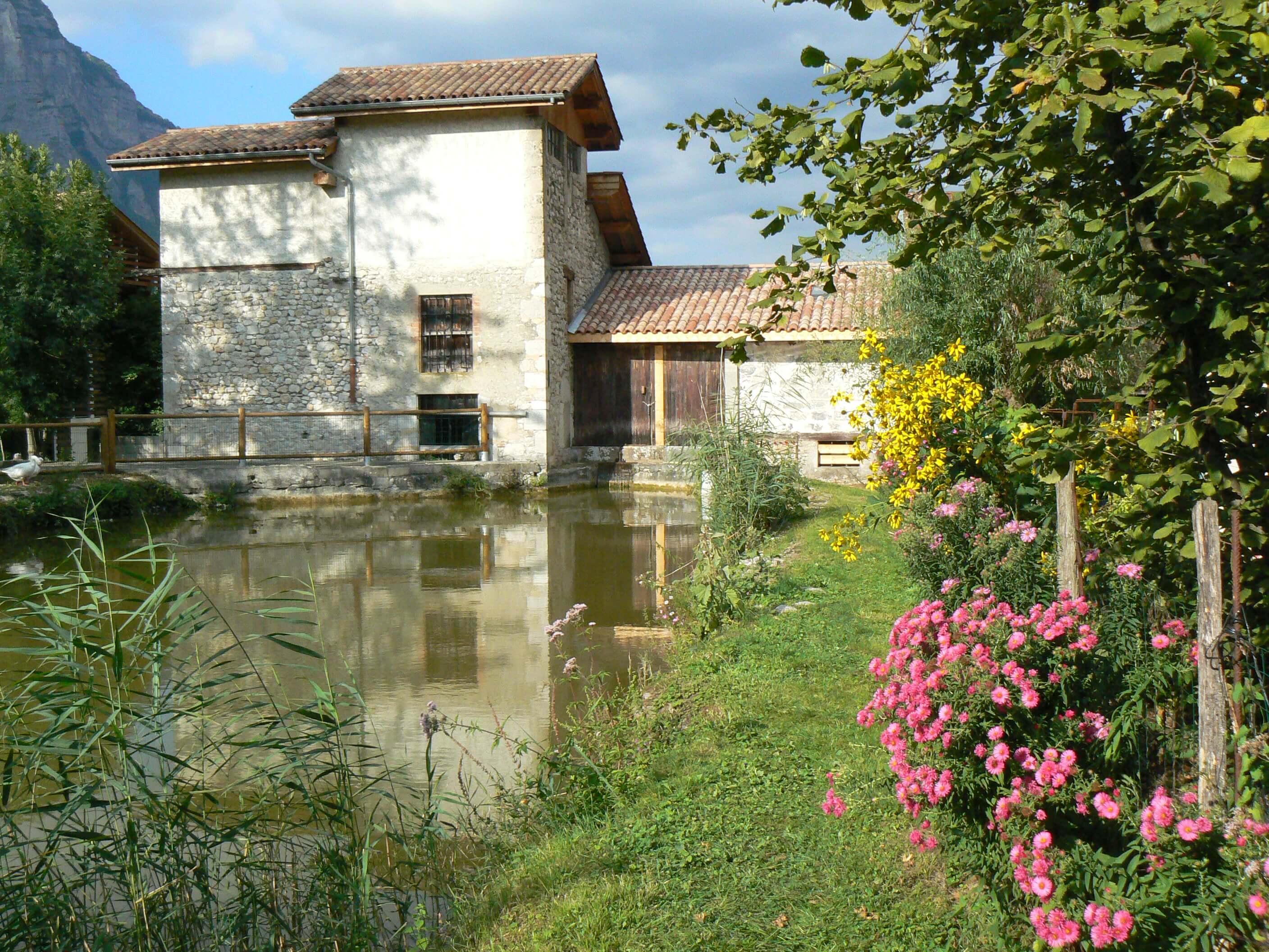 Le Moulin des Ayes