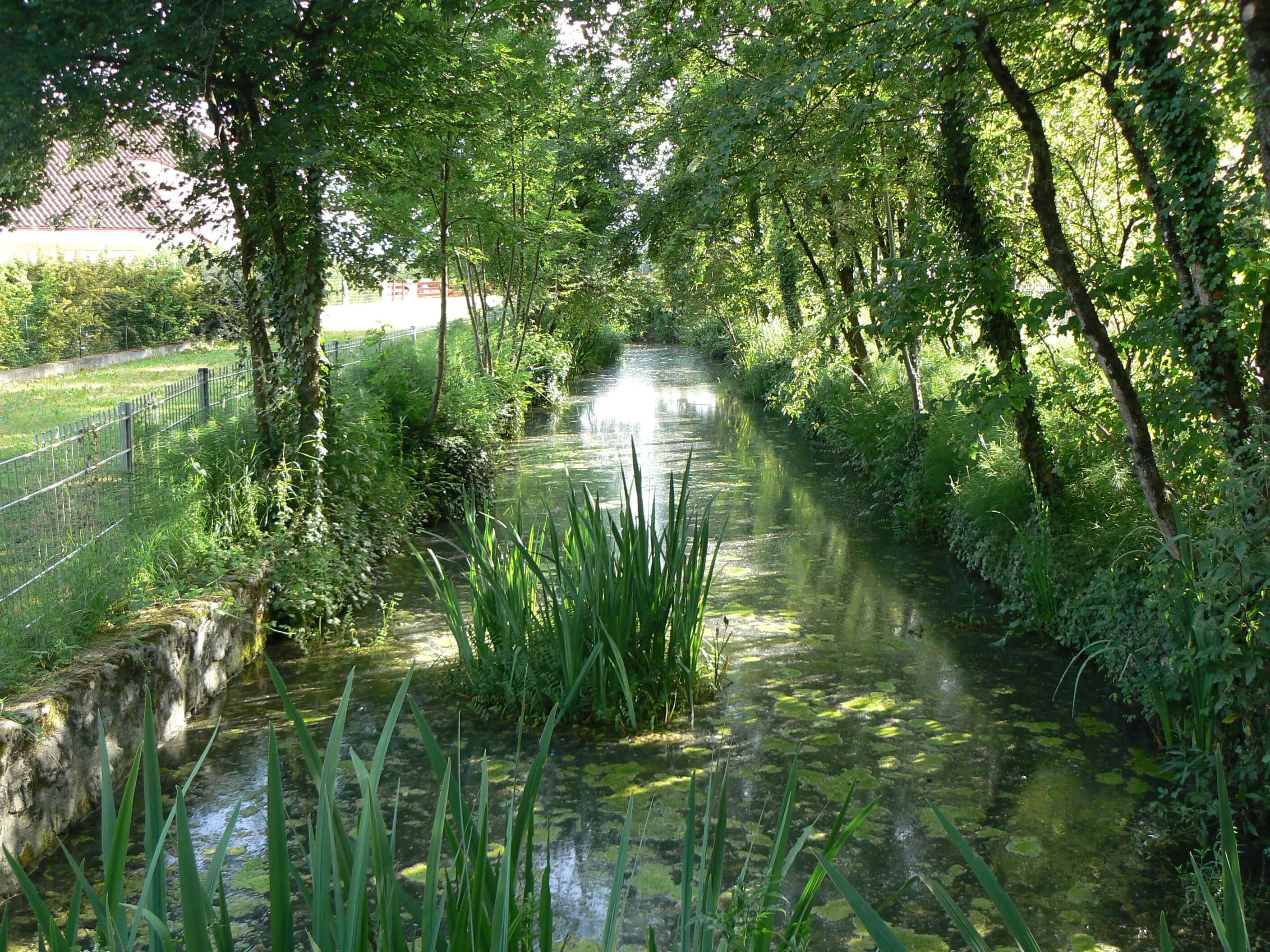 Routoir